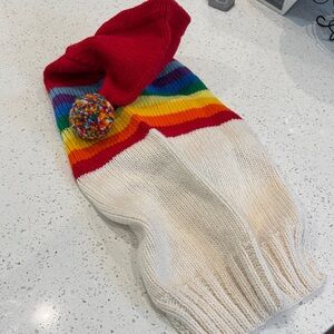 Rainbow Striped Dog Sweater with Red Hood